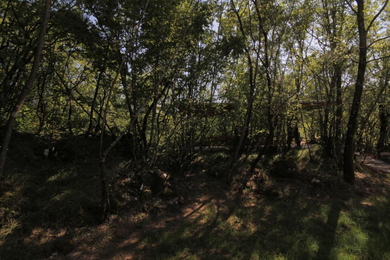 Vukova Dolina Apartments Cetinje Dış mekan fotoğraf
