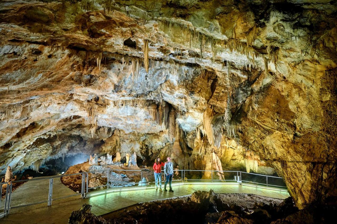 Vukova Dolina Apartments Cetinje Dış mekan fotoğraf
